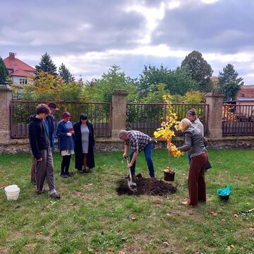 Sázení stromu u kostela, 12. 10. 2025