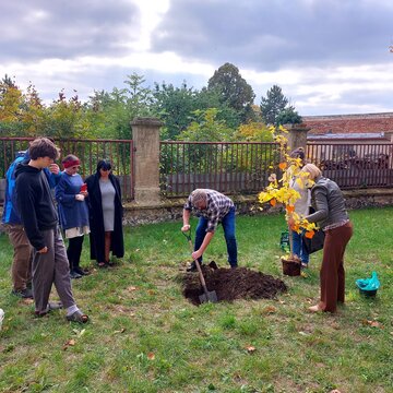 Sázení stromu u kostela, 12. 10. 2025