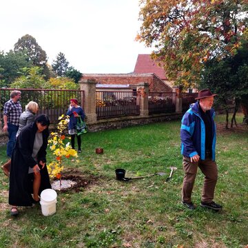 Sázení stromu u kostela, 12. 10. 2025