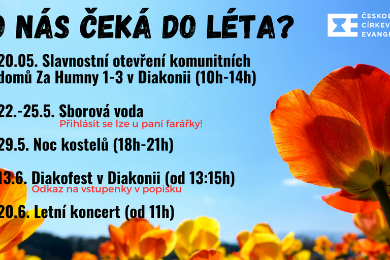 Co nás čeká do léta?